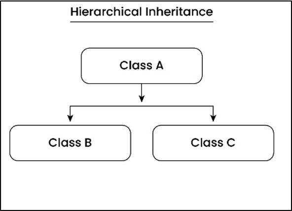 Hierarchical Inheritance in Python