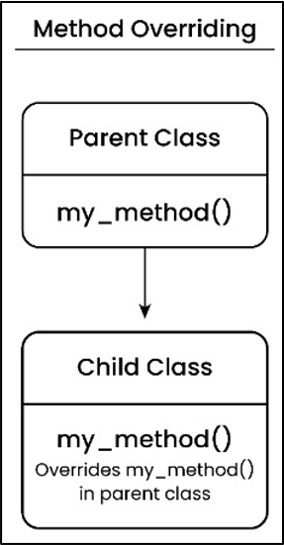 Method Overriding in Python